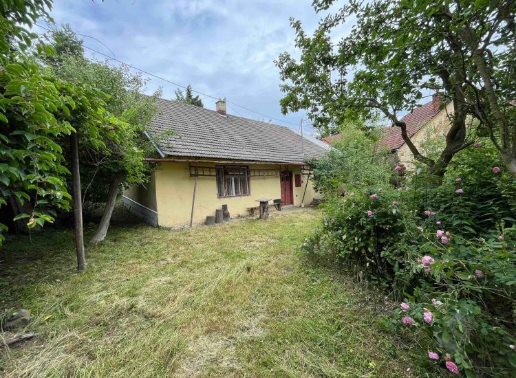 7d963732-a23e-4527-9db6-ee1171ee5e86